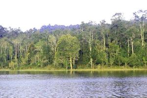 parque con estanque y jardín natural de árboles foto