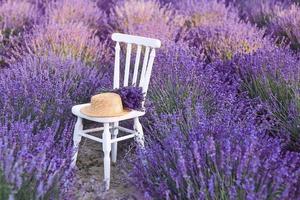 silla blanca con ramo de lavanda y sombrero de paja en la floración de hermosas flores de lavanda. viajes, naturaleza, verano, concepto de agricultura foto