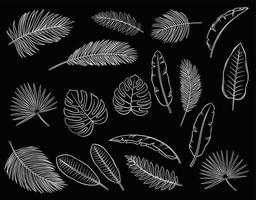 silver tropical leaves isolate on black background vector