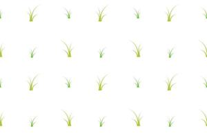 cute grass pattern vector