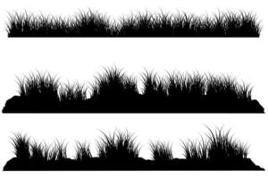 grass ground. wild grass silhouette vector