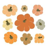 Cute vector set of top view pumpkins top view isolated on white background. Different various gourd in autumn warm color palette in simple hand drawn style. Sweet clip art element collection for fall