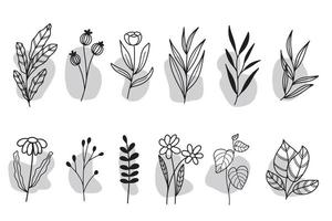 conjunto de lineart floral y hojas clipart aislado vector