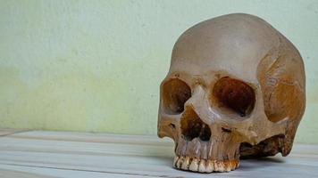 human skull on wood table for sci or medical content. photo