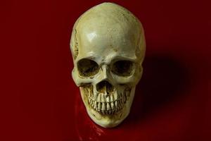 The skull on red background glossy abstract image. photo