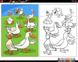 dibujos animados patos pájaros animales de granja personajes página para colorear vector