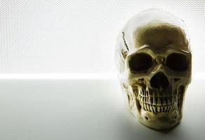 skull close up on glow light abstract  background . photo