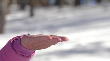 Bird and man, winter forest video