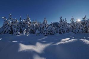 winter sunrise with fresh snow covered forest and mountains photo