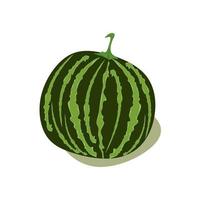 Watermelon vector illustration in flat design isolated on white background.