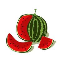 Watermelon and juicy watermelon slice vector illustration in flat design isolated on white background.