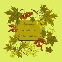 Branch, seeds and leaves of maple. Summer green maple leaves set. Consept of autumn frame or background with maple leaves. vector