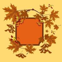 Branch, seeds and leaves of maple. Autumn maple leaves set. Concept of autumn frame or background with maple leaves. vector