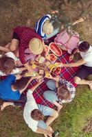 top view of group friends enjoying picnic time photo