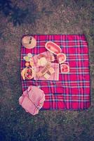 top view of picnic blanket setting on the grass photo