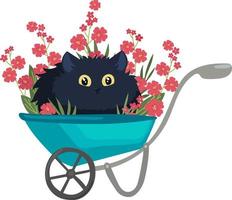 black cat in a garden wheelbarrow with red flowers, funny vector illustration