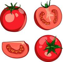 Hand-drawn colorful red tomato. A set of sketches with sliced tomatoes, a slice of tomatoes. The vector illustration is isolated on a white background.