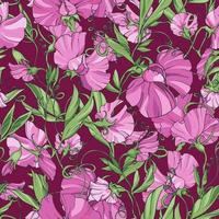 pink  flowers  sweet pea  on a red background,  floral seamless pattern. Pattern for fabric, wrapping paper, package design, web pages, invitations, greeting cards. vector