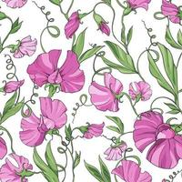 Pink flowers sweet pea on a white background, floral seamless pattern. Pattern for fabric, wrapping paper, web pages, invitations, cards vector