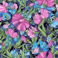 Blue and pink  flowers  sweet pea  on a blue purple background,  floral seamless pattern. Pattern for fabric, wrapping paper, package design, web pages, invitations, greeting cards vector