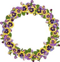 round frame with pansy flowers, wreath for background, texture, pattern, frame or border. vector illustration of pansies floral