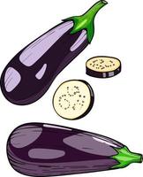 eggplant vegetable, Vector ripe eggplant isolated on a white background