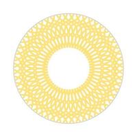 mandala design with abstract shape vector