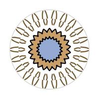 mandala design with abstract shape vector