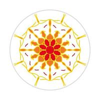 mandala design with abstract shape vector