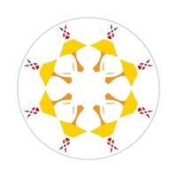 mandala design with abstract shape vector