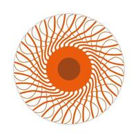 mandala design with abstract shape vector