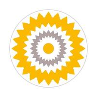 mandala design with abstract shape vector