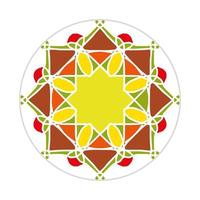 mandala design with abstract shape vector