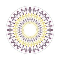 mandala design with abstract shape vector