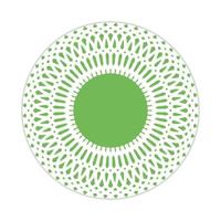 mandala design with abstract shape vector