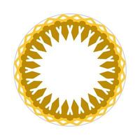 mandala design with abstract shape vector