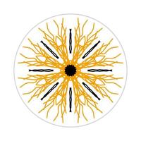 mandala design with abstract shape vector