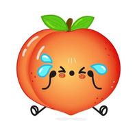 Cute sad peach character. Vector hand drawn cartoon kawaii character illustration icon. Isolated on white background. Sad peach character concept