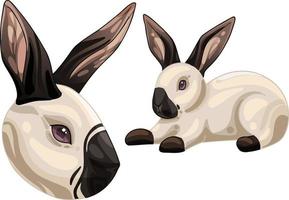 A set of cartoon drawn animals. Rabbit breed of Californian