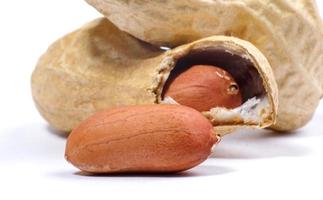 Peanuts peeled and inshell. Peanuts on a white background. photo
