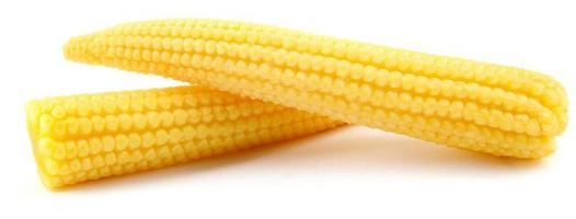 Delicious baby corn, isolated on white background photo