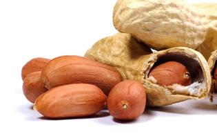 Peanuts peeled and inshell. Peanuts on a white background. photo