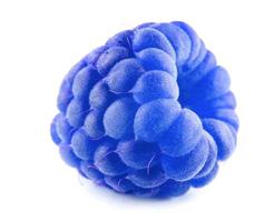 The blue raspberry berry is isolated on a white background. Full clipping path. photo