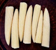 Cobs of young corn on a clay dish. Delicious baby corn. photo