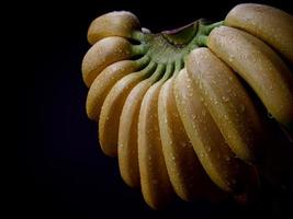 Beautiful large bunch of ripe bananas on a black background. photo