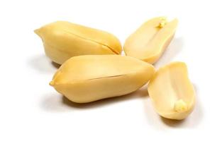 Peanut ground grains are isolated on a white background. photo