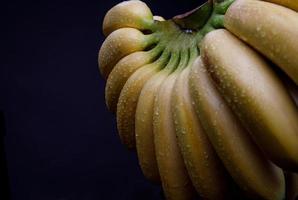 A beautiful large bunch of bananas on a black background with a place for inscriptions. photo