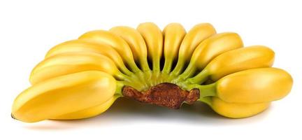 Bunch of bananas isolated on white background  Clipping Path photo