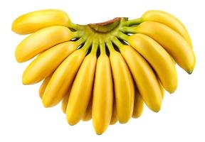 Bunch of bananas isolated on white background  Clipping Path photo