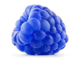 The blue raspberry berry is isolated on a white background. Full clipping path. photo